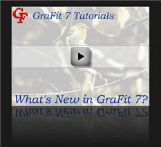 Watch what is new is GraFit 7